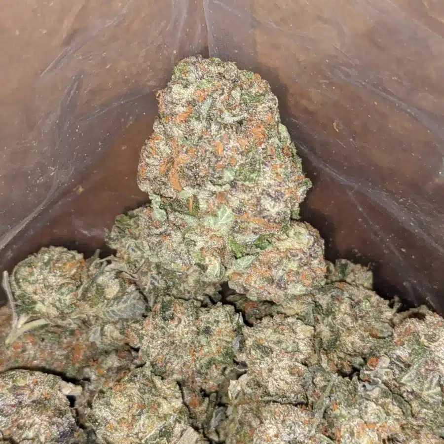 Runtz 1 I $ 42 Oz - Runtz