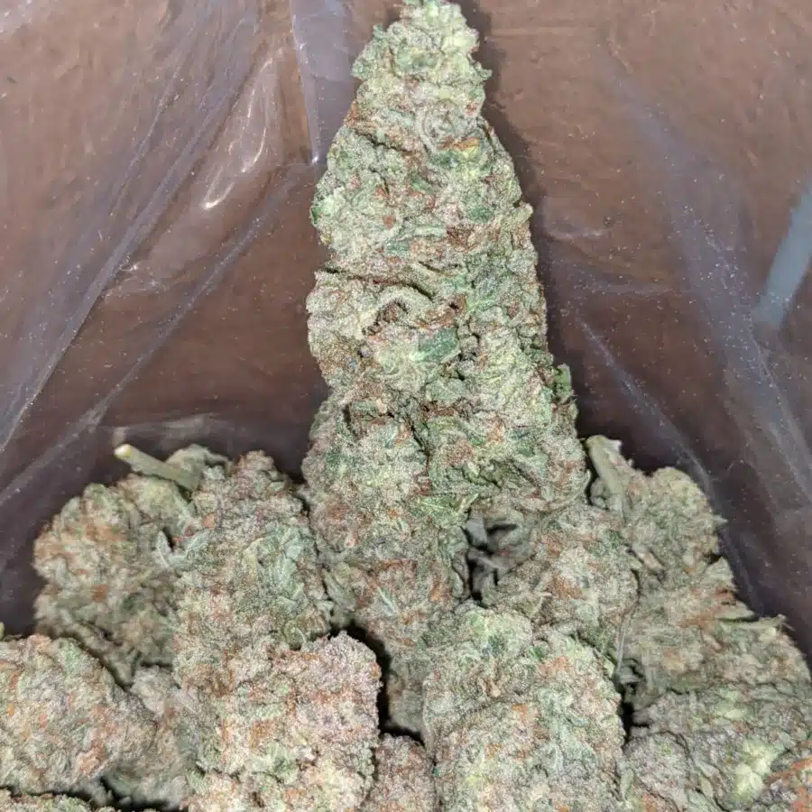 Starfighter 3 I $ 50 Oz - Starfighter