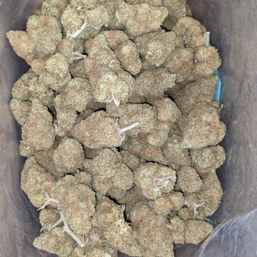 Alternative view of Sunset Sherbert