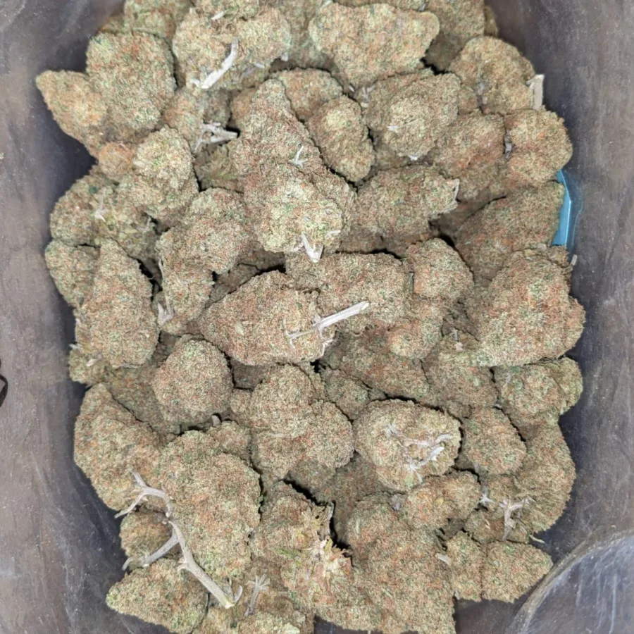 Sunset Sherbert