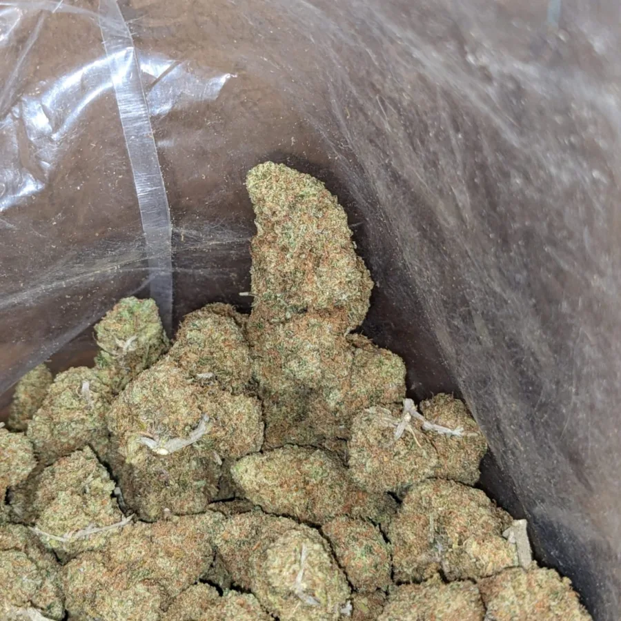 Sunset Sherbert - Image 4