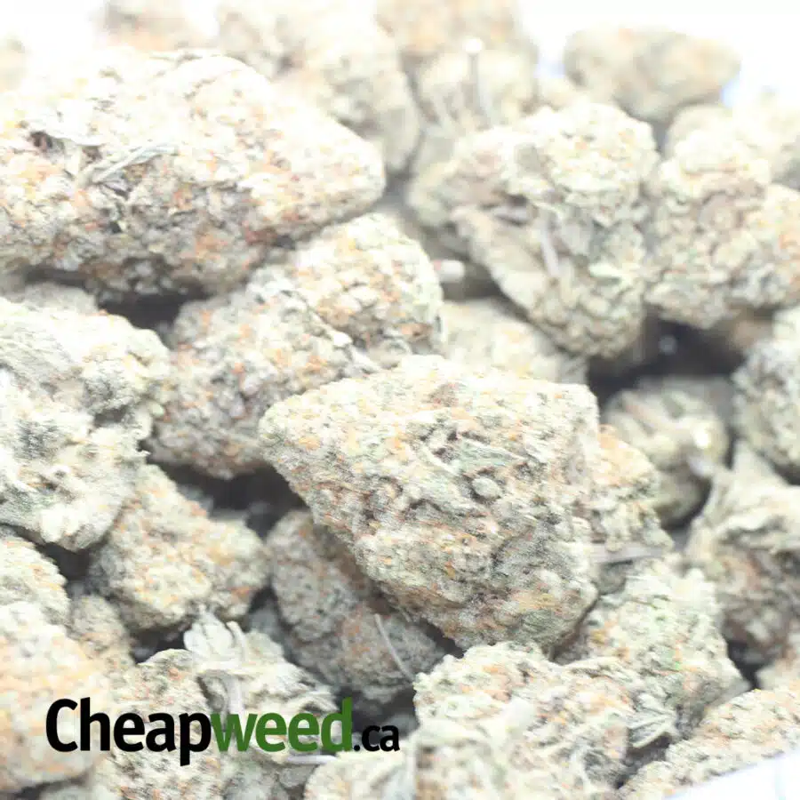 VENOM OG 1 I Venom OG