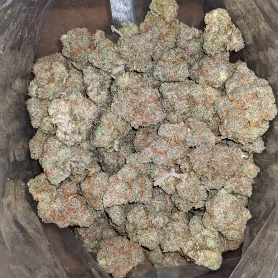 Wedding Pie 1 I $ 49 Oz - Wedding Pie