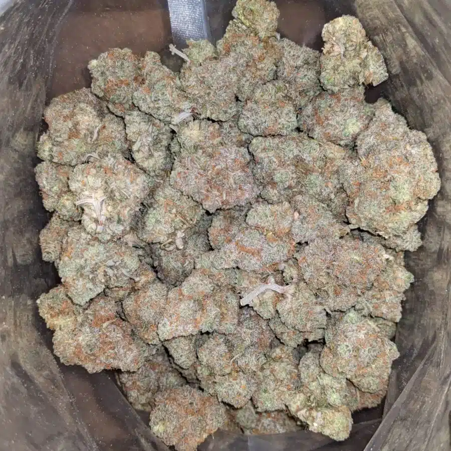 Wedding Pie 2 I $ 49 Oz - Wedding Pie