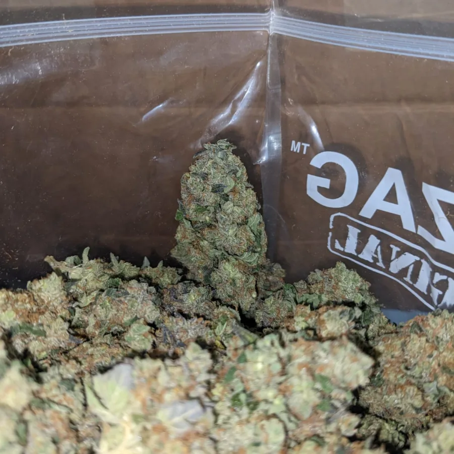 Critical Kush