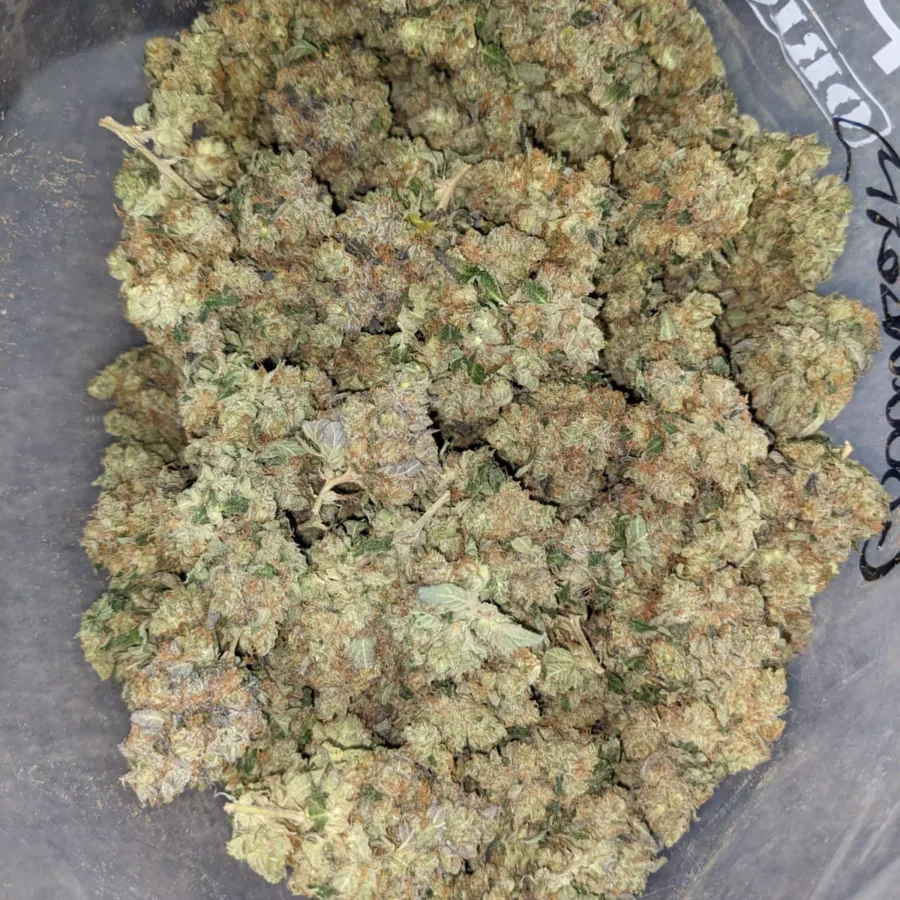 Critical Kush - Image 5
