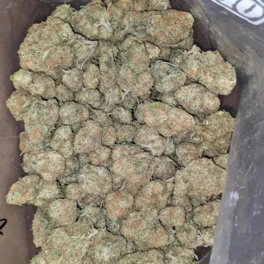 Cookie Wreck 3 1 I $ 46 Oz - Cookie Wreck