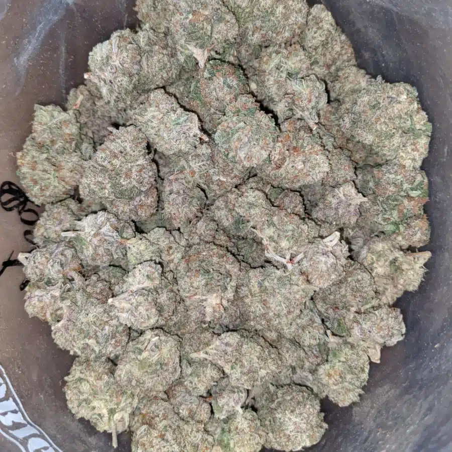 Donkey punch 1 1 I $ 43 Oz - Donkey Punch