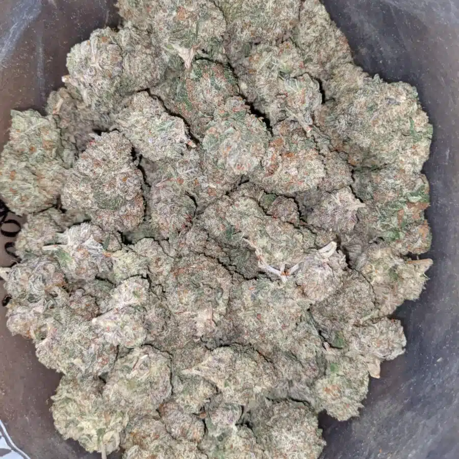 Donkey punch 2 1 I $ 43 Oz - Donkey Punch