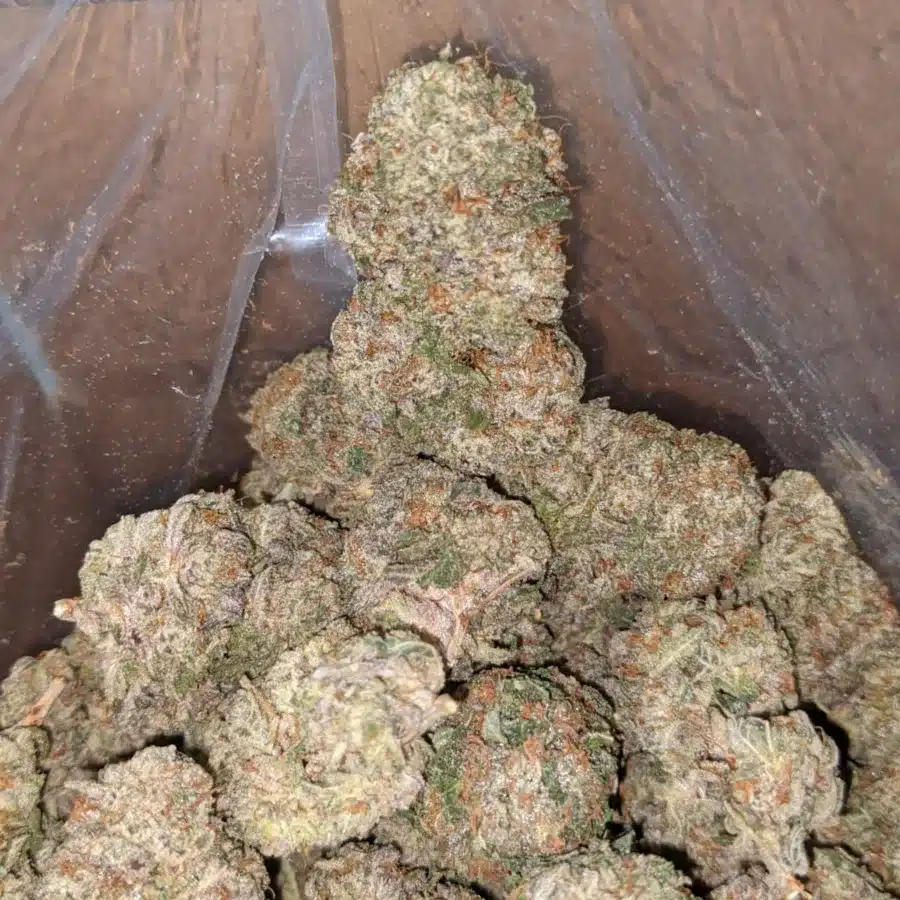 Donkey punch 3 1 I $ 43 Oz - Donkey Punch