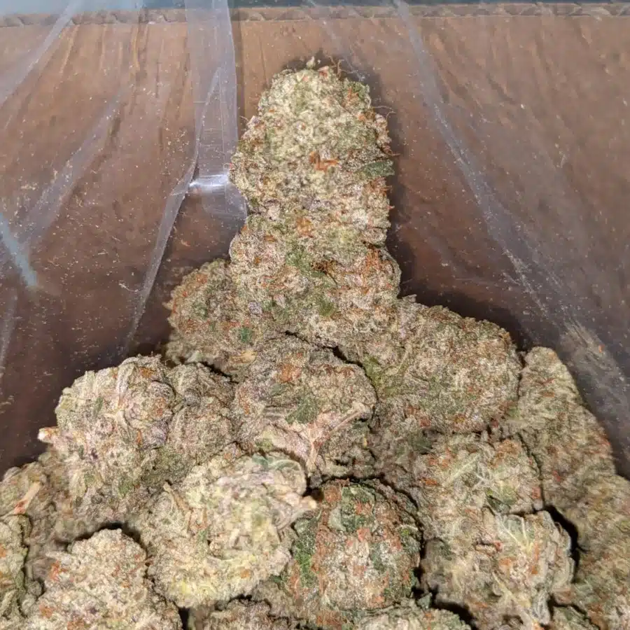 Donkey punch 4 I $ 43 Oz - Donkey Punch