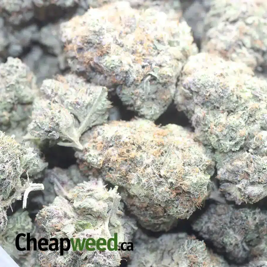 GODFATHER 1 I $ 113 Oz - Godfather