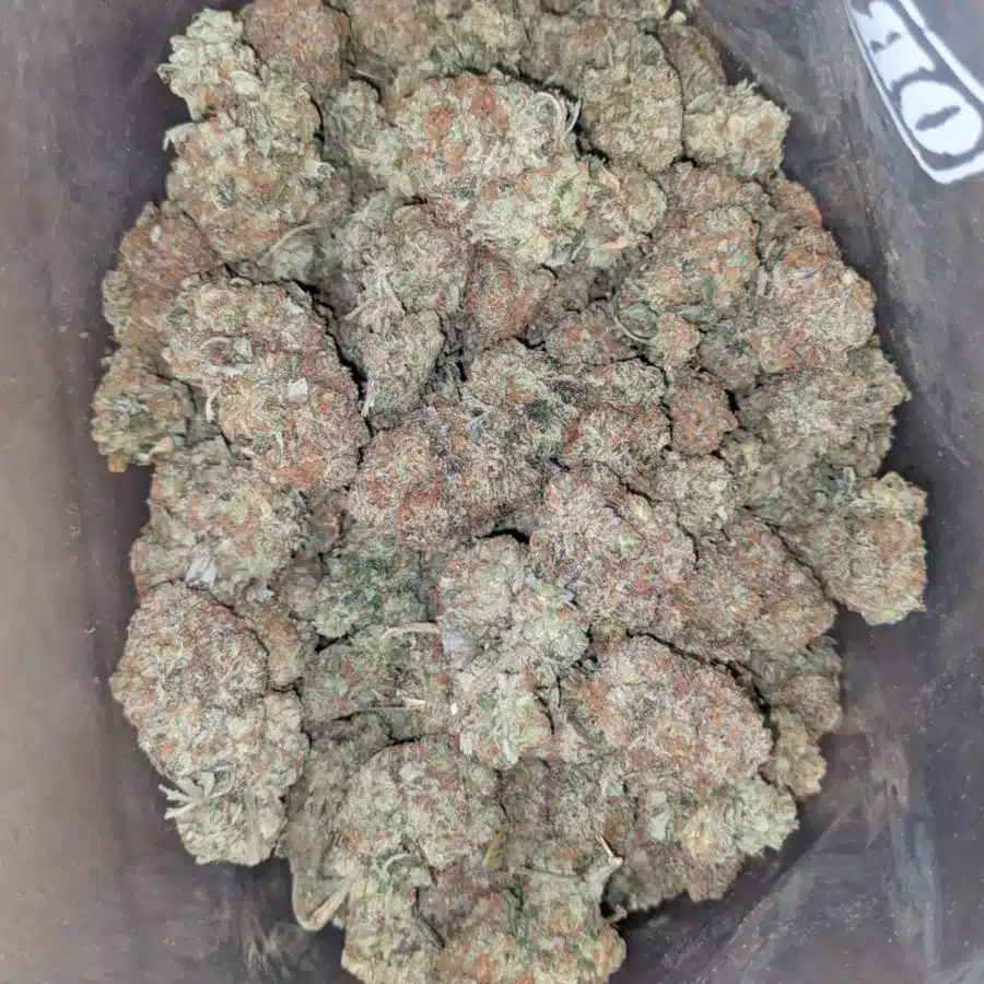 Grape Soda 1 1 I Grape Soda