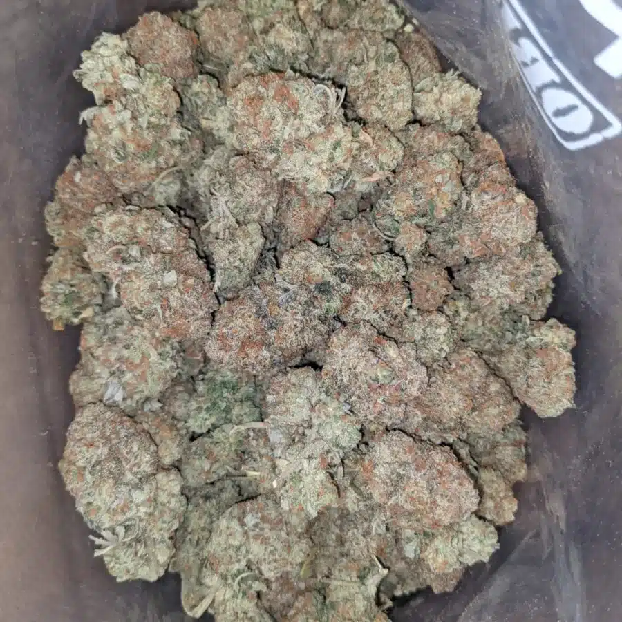 Grape Soda 2 1 I Grape Soda