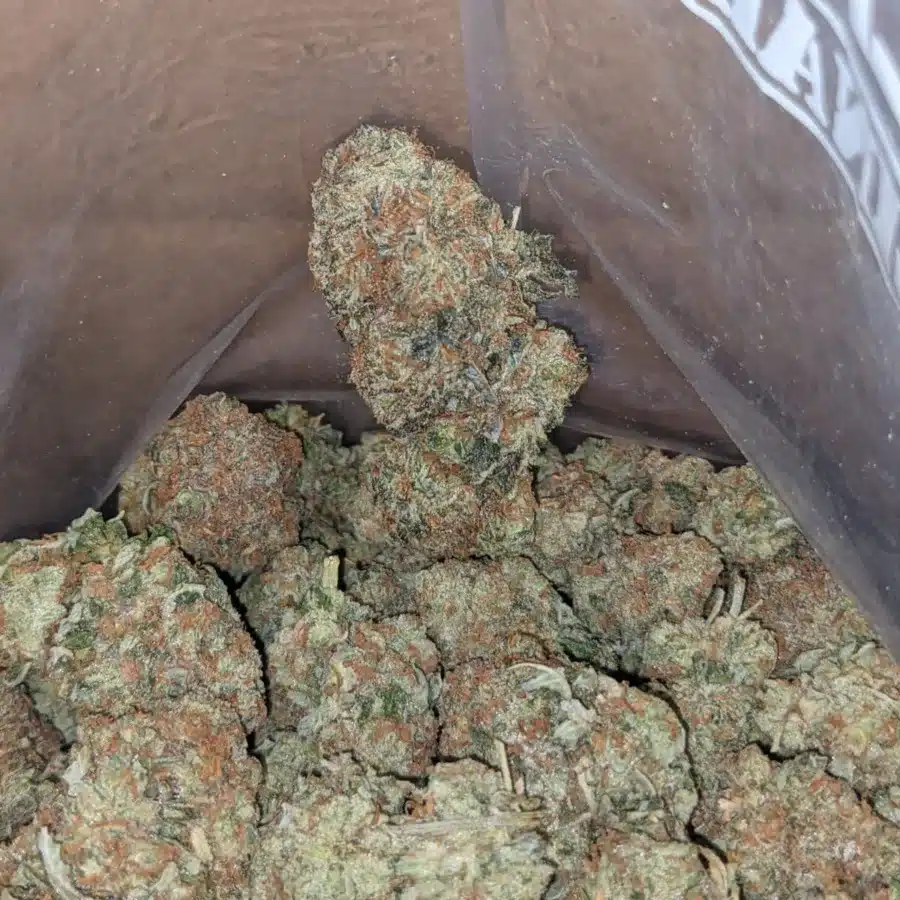 Grape Soda 3 1 I Grape Soda