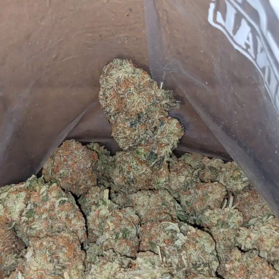 Grape Soda 4 I Grape Soda