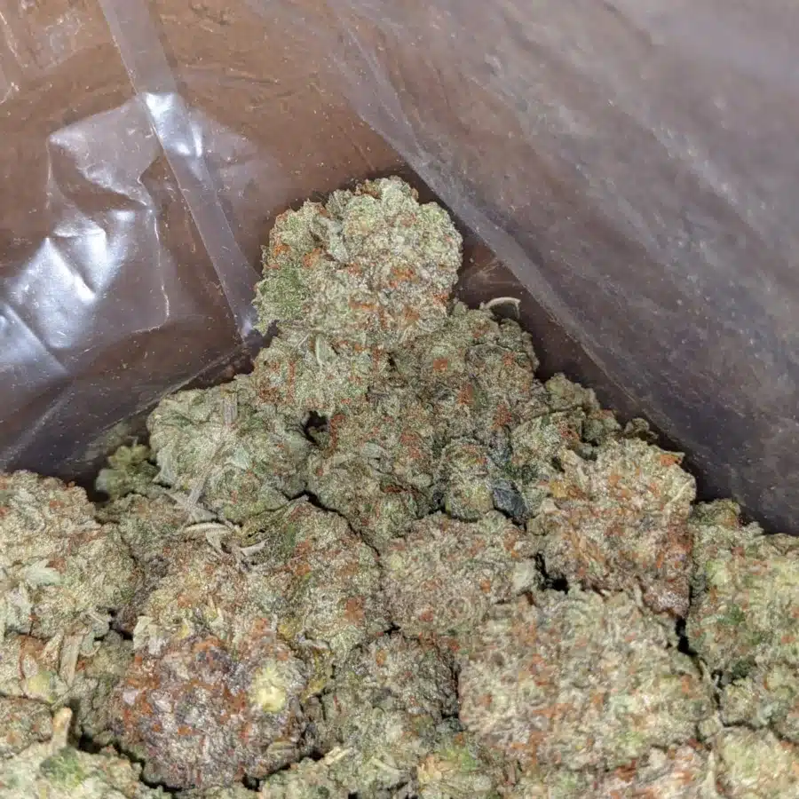 Grape crush 4 I Grape Crush
