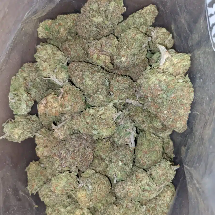 Green nuken 1 I Green Nuken