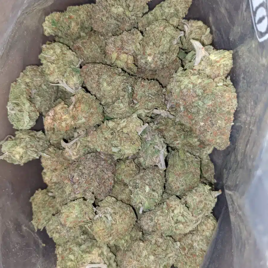 Green nuken 2 I Green Nuken