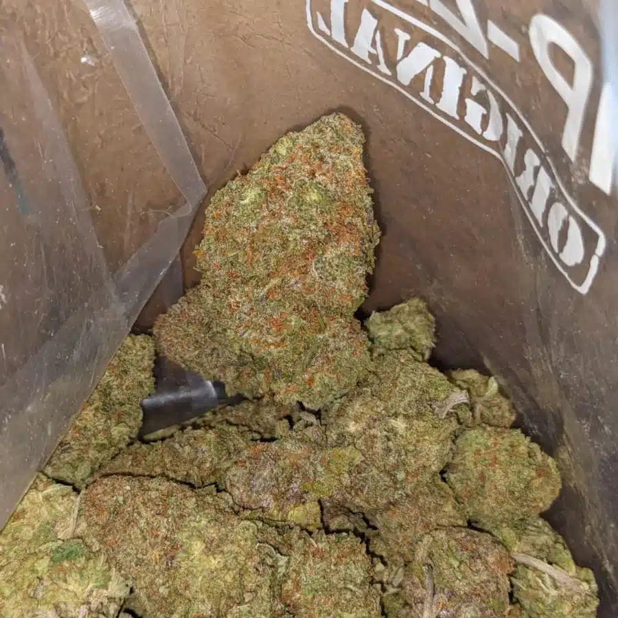 Green nuken 3 I Green Nuken