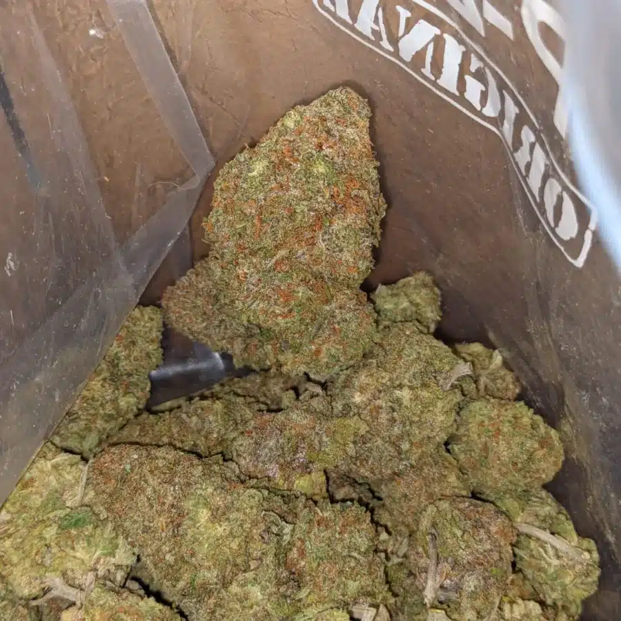 Green nuken 4 I Green Nuken