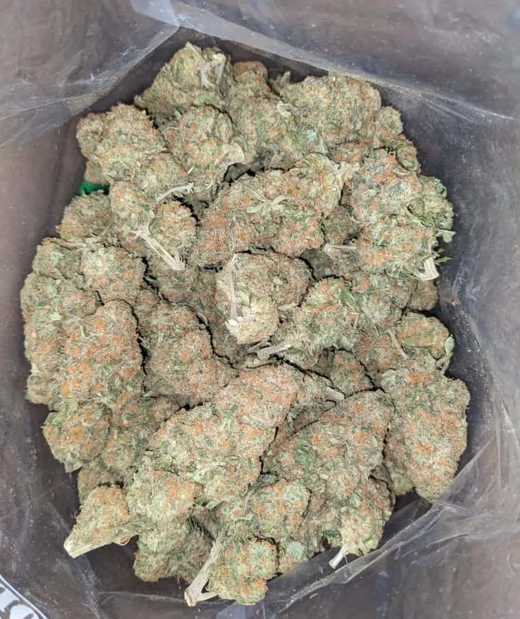 GreenFarm Animal Cookies 3 1 I Greenfarm's Animal Cookies