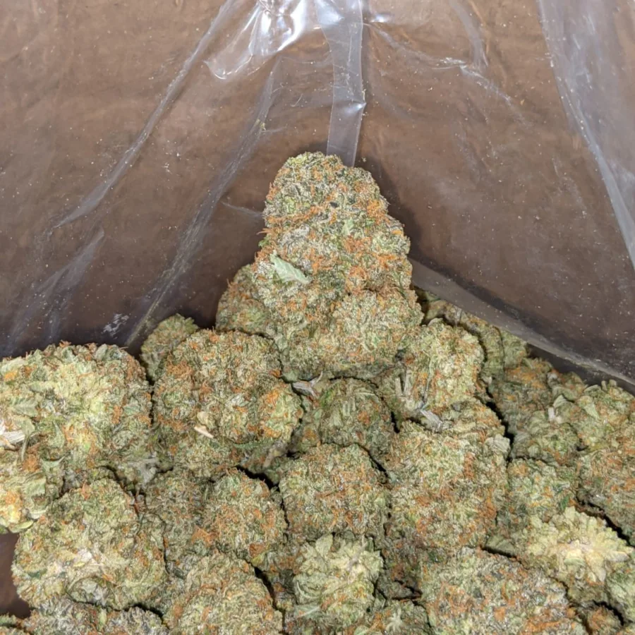 Gumbo 1 2 I Gumbo