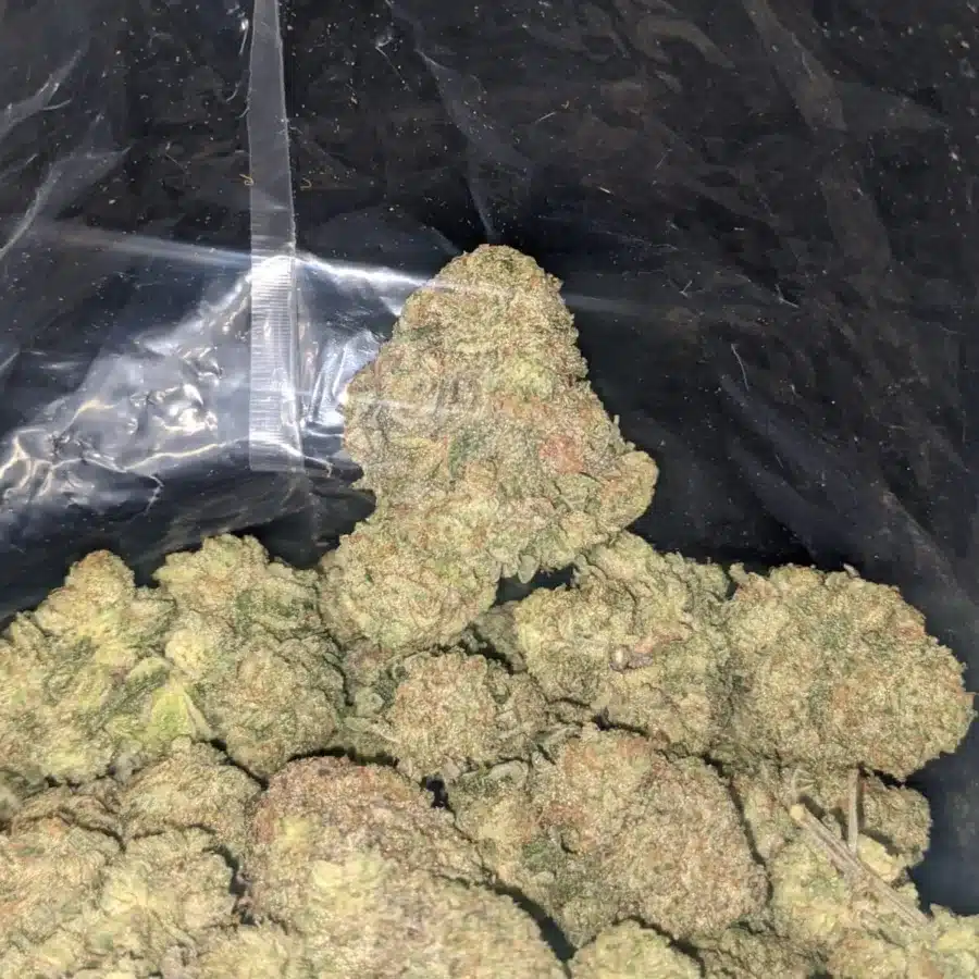 Gumbo 3 I $ 50 Oz - Gumbo