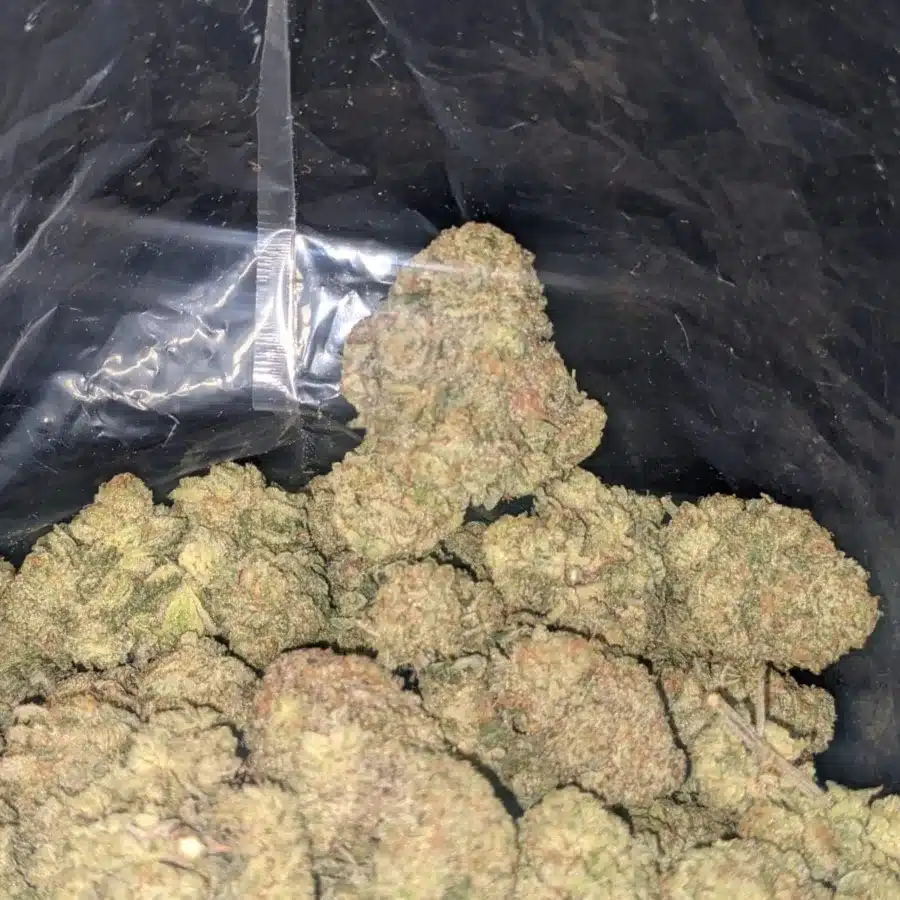 Gumbo 4 I $ 50 Oz - Gumbo