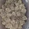 Purple Skunk