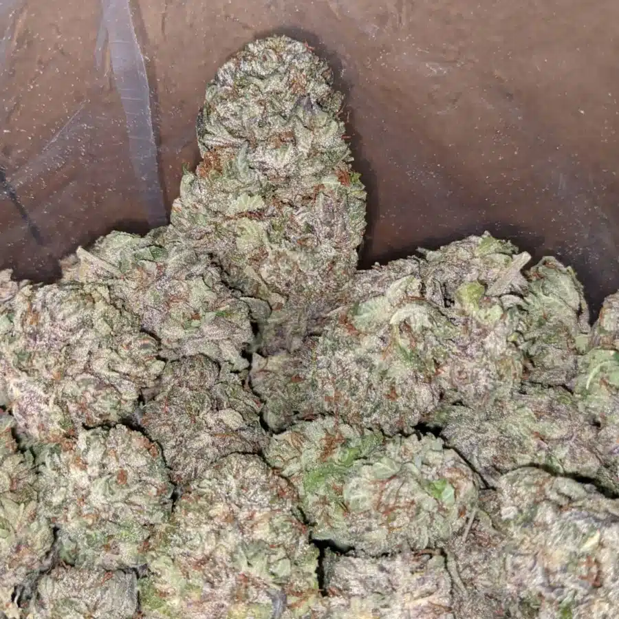 Purple cream 1 1 I Purple Cream