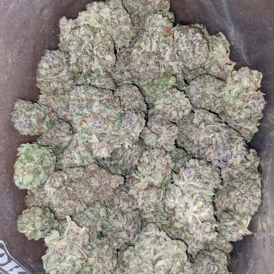 Purple cream 2 1 I Purple Cream