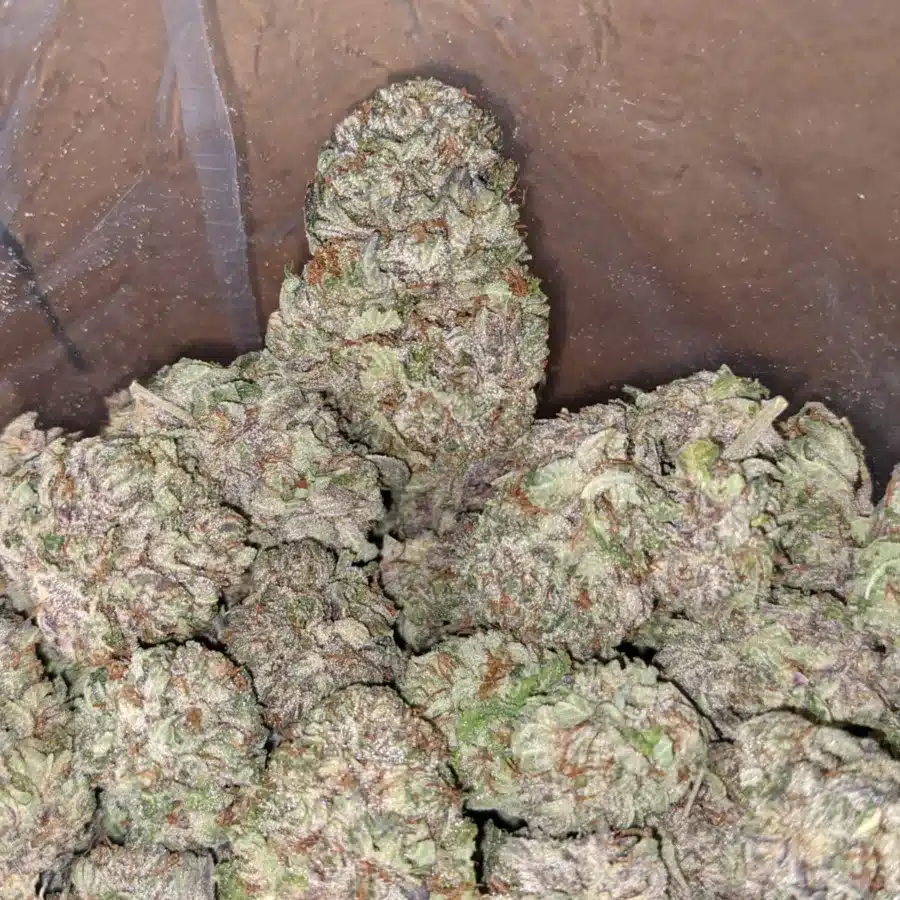 Purple cream 3 1 I Purple Cream