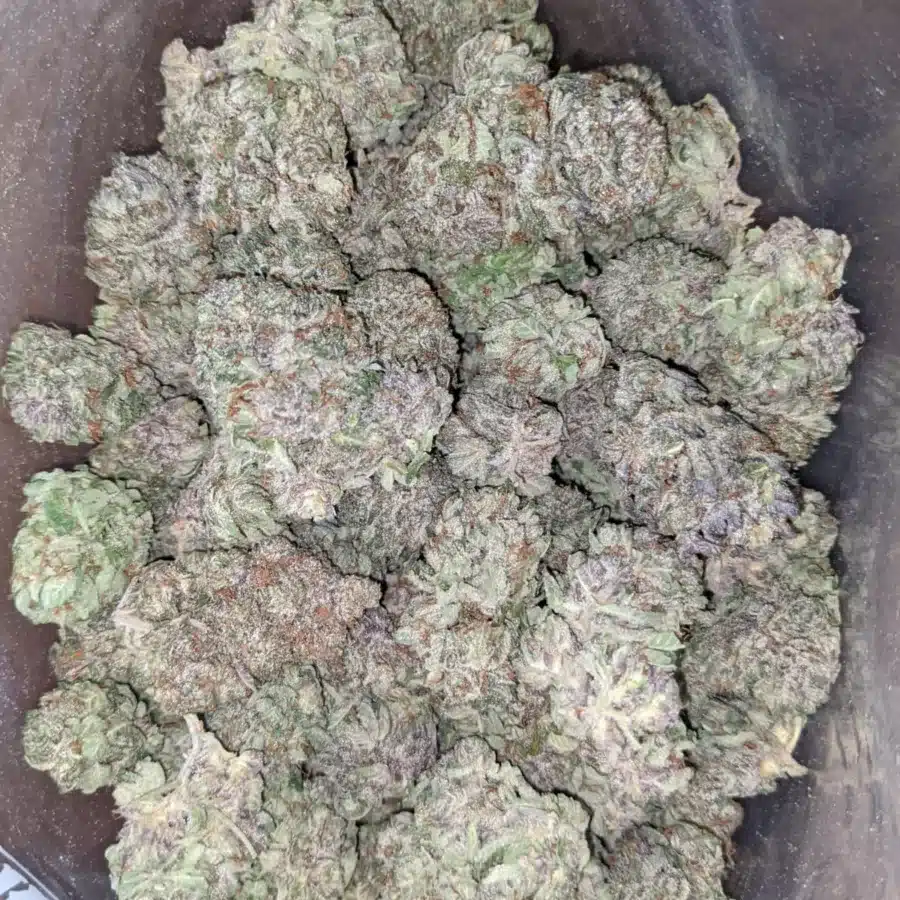 Purple cream 4 I Purple Cream