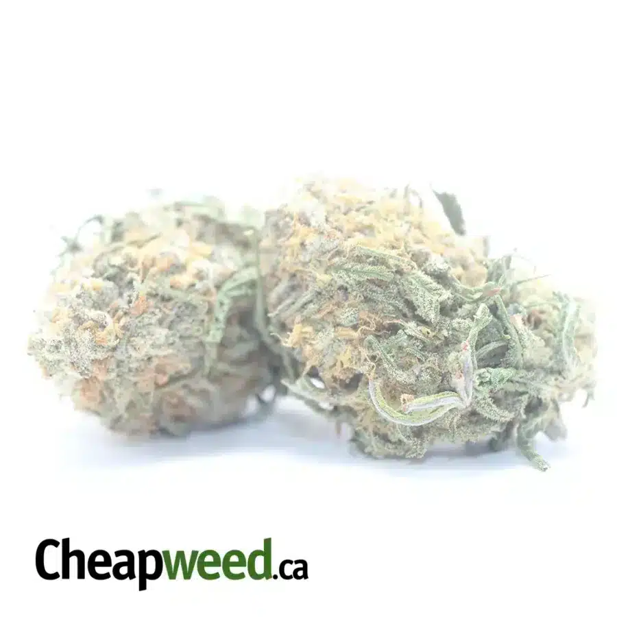 Alternative view of Tonys Nukem