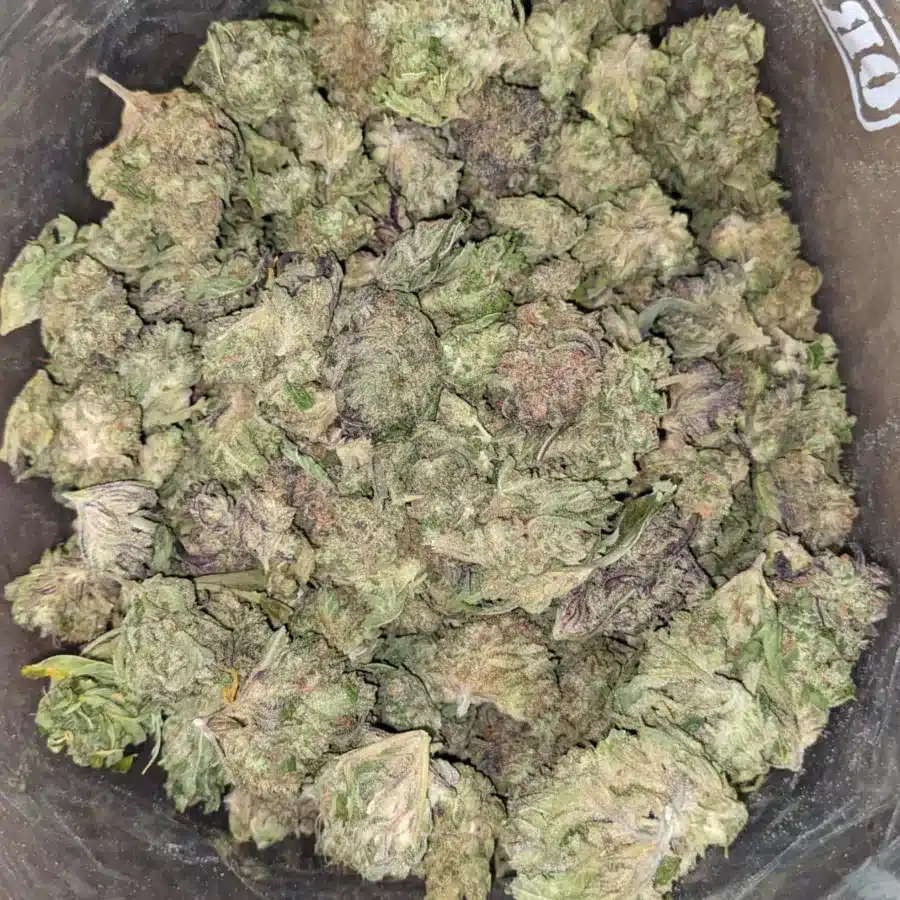 th cd 1 I Thai Haze