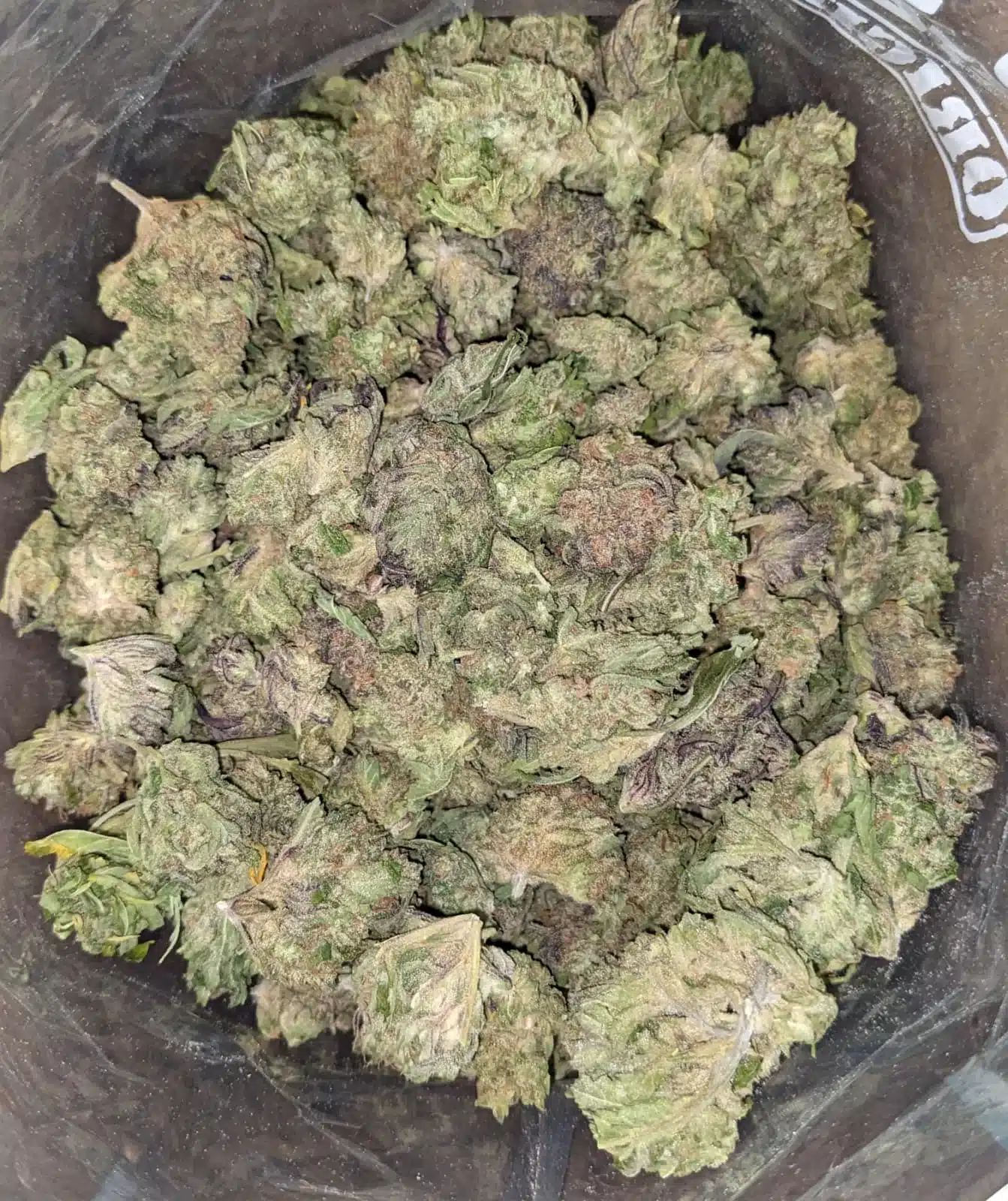 Thai Haze - Image 7