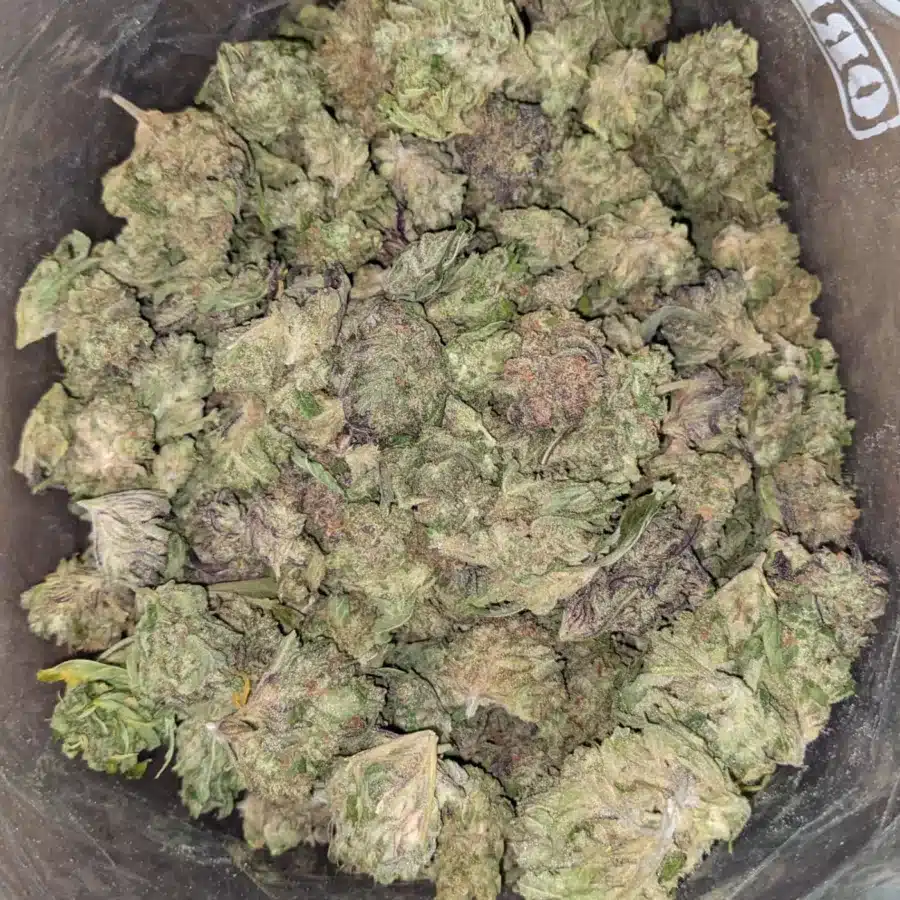 th cd 2 I Thai Haze