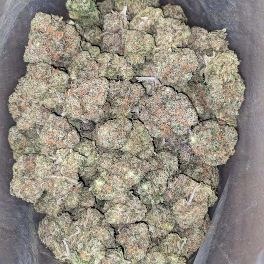 $49 Oz - Fruit Punch - Image 5