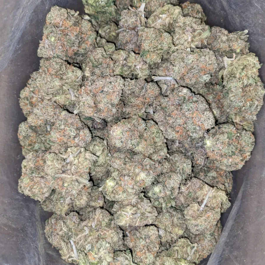 $49 Oz - Fruit Punch - Image 4
