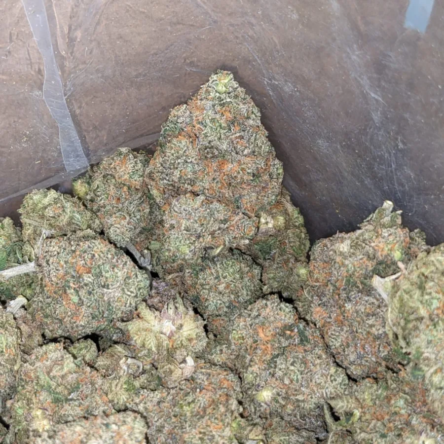 $49 Oz - Fruit Punch - Image 7