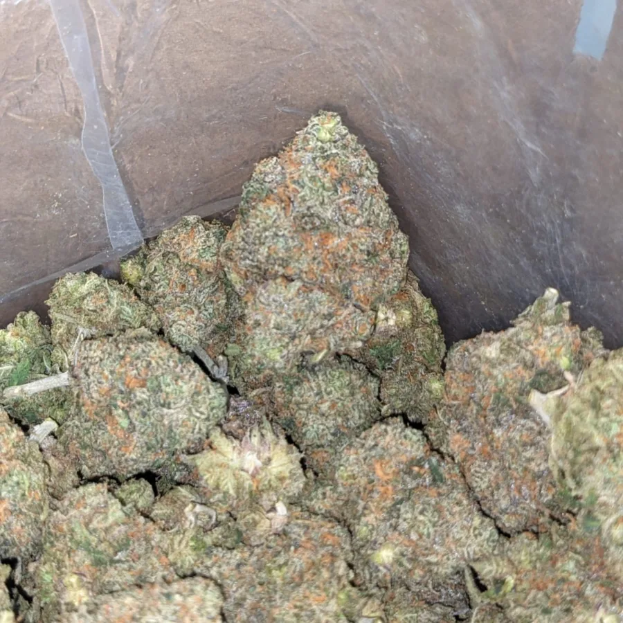 $49 Oz - Fruit Punch - Image 6