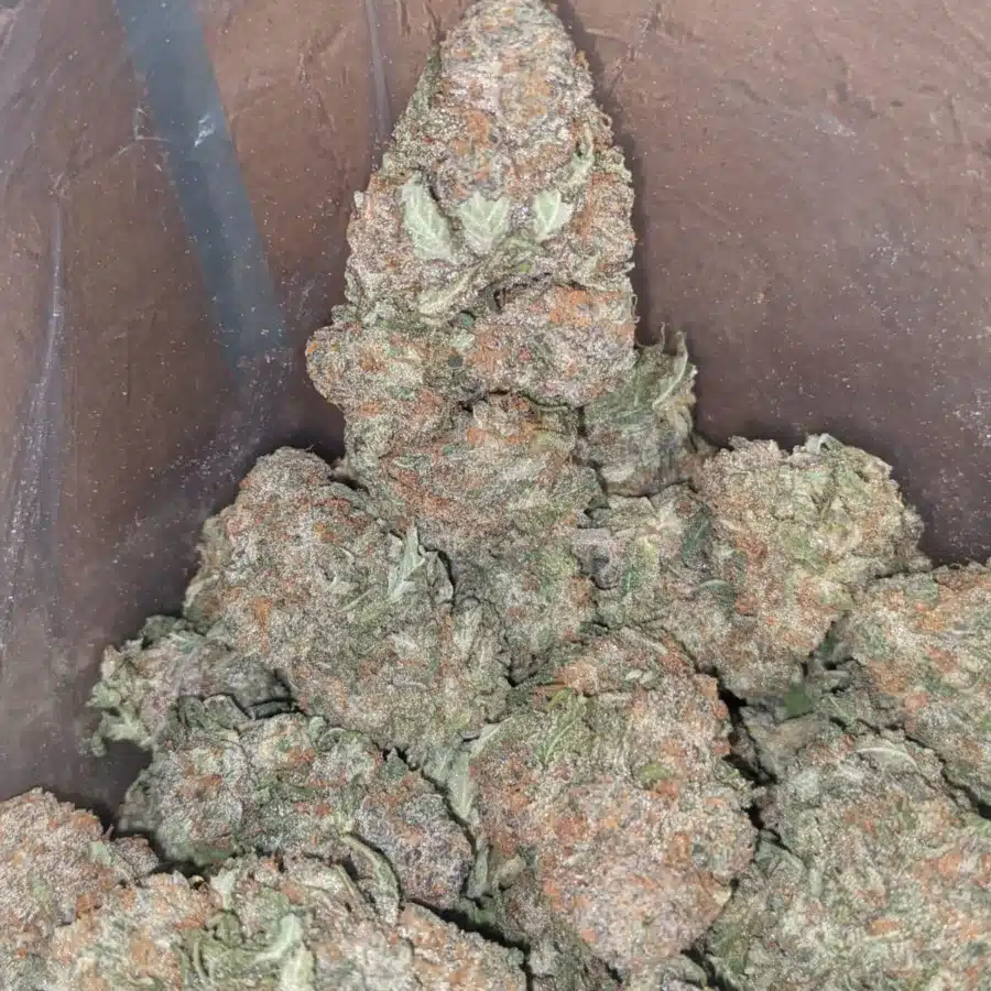 Alternative view of $ 50 Oz - Alaskan Thunderfuck