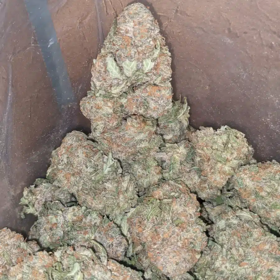 $ 50 Oz - Alaskan Thunderfuck