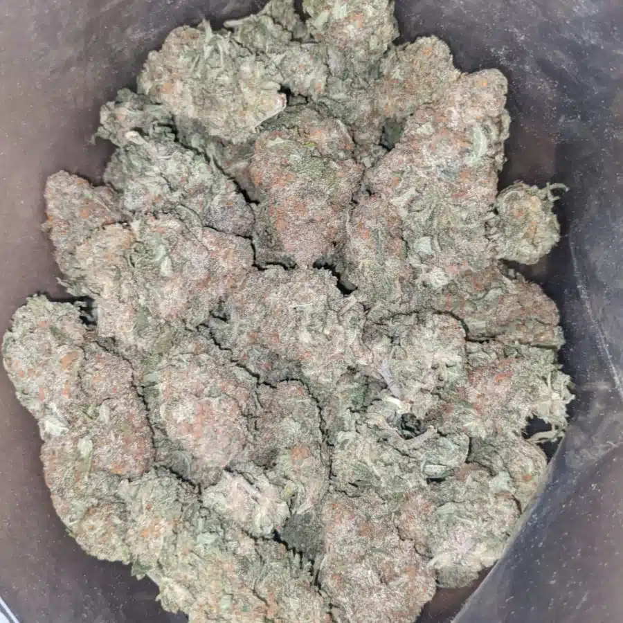 Alaskan Thunderfuck 4 I $ 50 Oz - Alaskan Thunderfuck