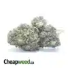 Black Widow Bulk Special