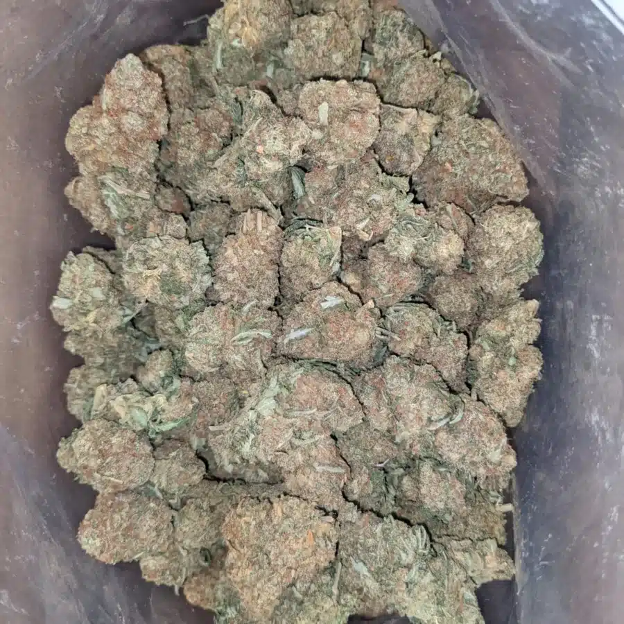 Berry Bomb 1 I $ 47 Oz - Berry Bomb