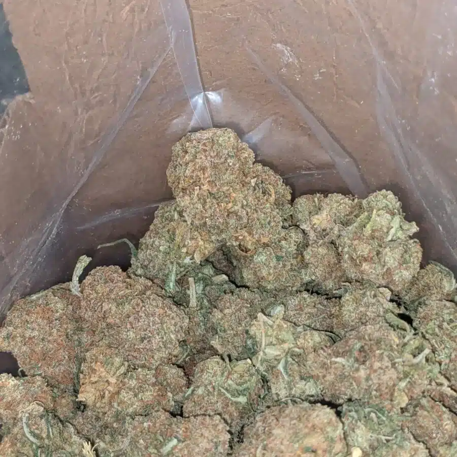 Berry Bomb 2 I $ 47 Oz - Berry Bomb