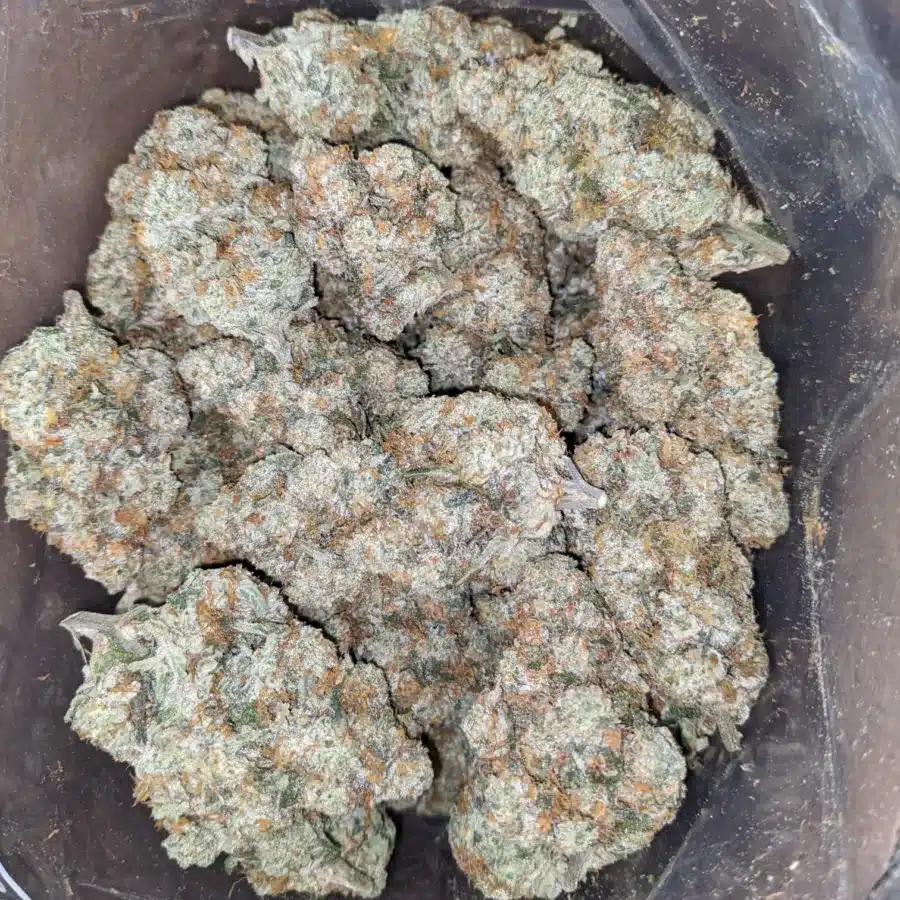 Caramel Cookies 1 1 I $ 69 Oz - Caramel Cookies
