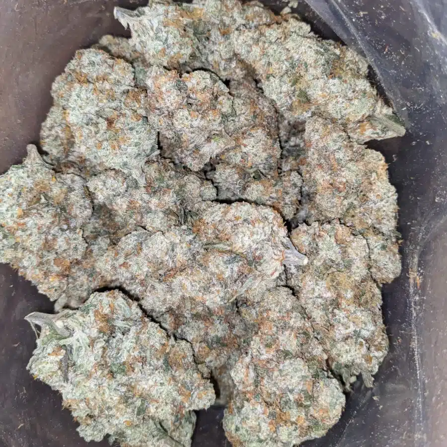 Caramel Cookies 2 1 I $ 69 Oz - Caramel Cookies